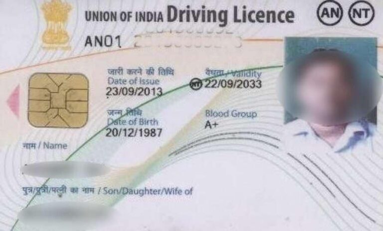 online driving licence soft copy